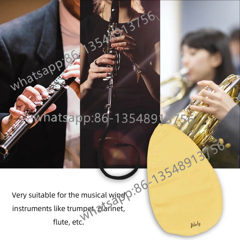 Saxophone special accessories  - đánh giá và giá Body Jewelry Cleaner