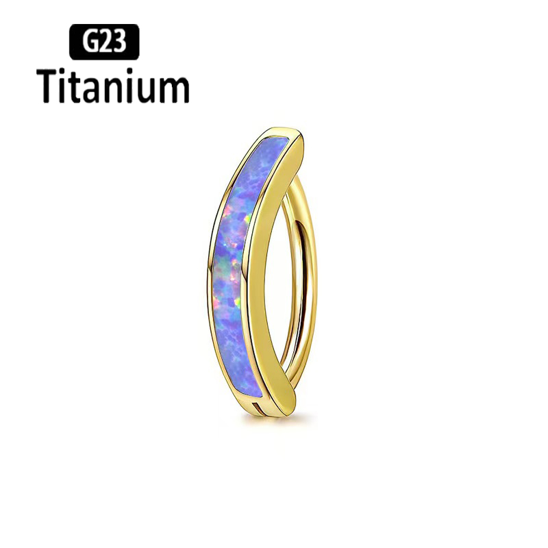 1PC 14G Implant Grade G23 Tita - đánh giá và giá Body Jewelry Implant Grade