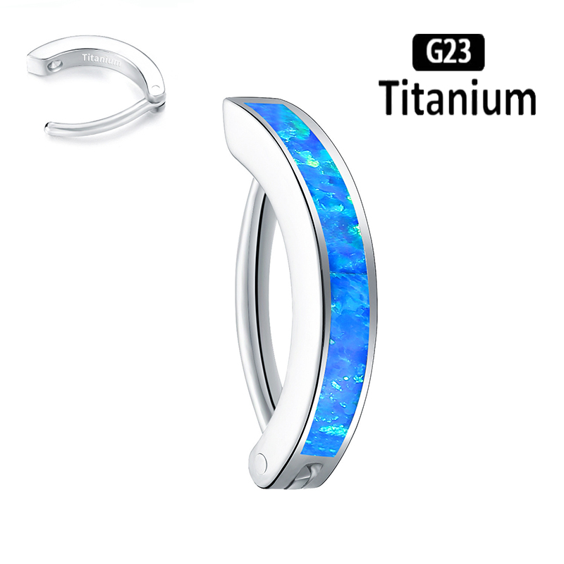 1PC 14G Implant Grade G23 Tita - đánh giá và giá Body Jewelry Implant Grade