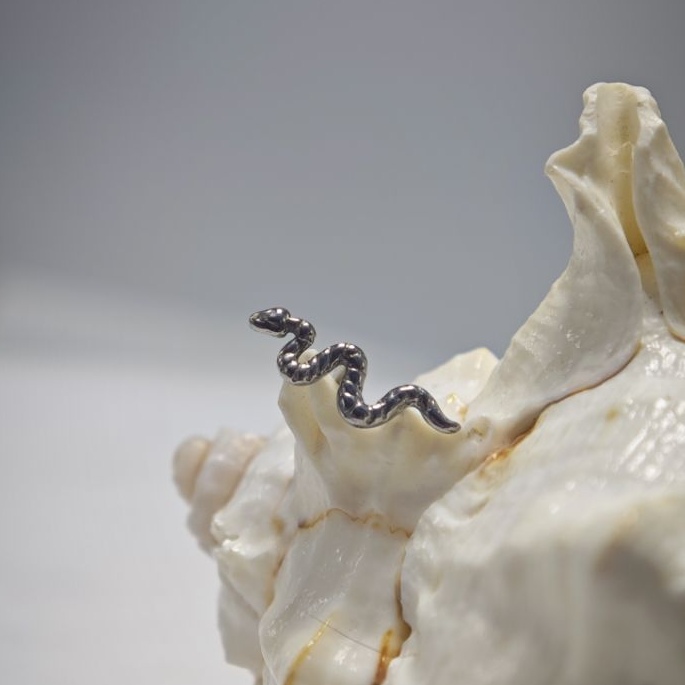 16G Titanium Implant Grade Hig - đánh giá và giá Body Jewelry Implant Grade