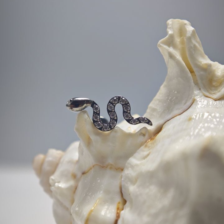 16G Titanium Implant Grade Hig - đánh giá và giá Body Jewelry Implant Grade