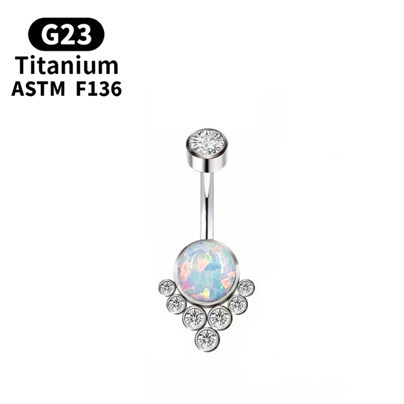 G23 Titan Xuyên Titan Cao Cấp  - đánh giá và giá Body Jewelry Implant Grade