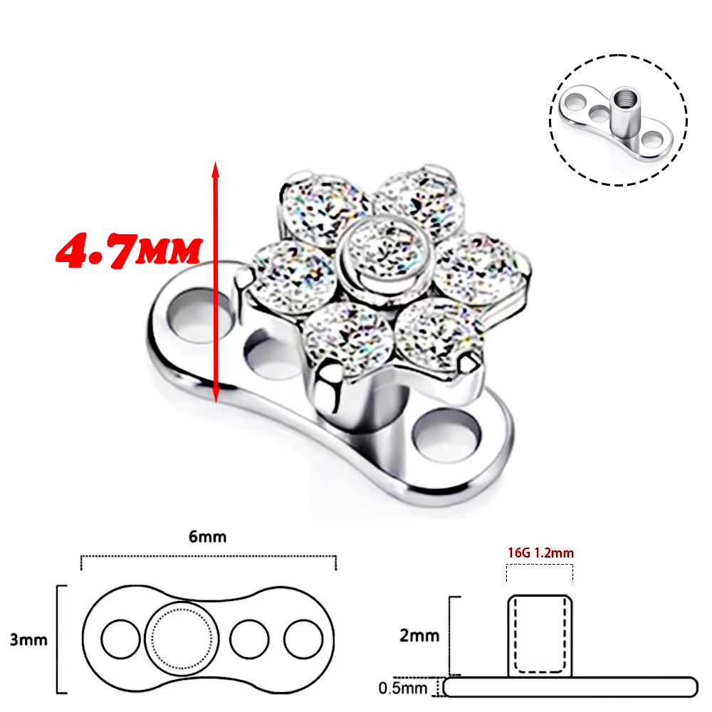F136 Titanium Alloy High-Quali - đánh giá và giá Body Jewelry Implant Grade